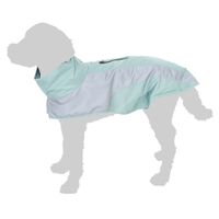 Nomad Tales Spirit hondenregenjas Reflecterend Mint