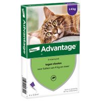 Advantage® 80 voor Katten vanaf 4 kg